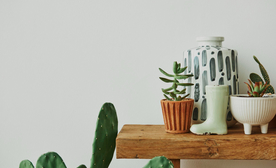 Rental home decor