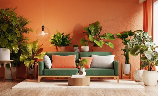 Mpez portokali dwmatio