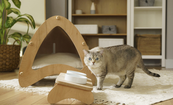 Cat bed
