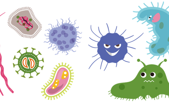 Μούχλα υγρασία