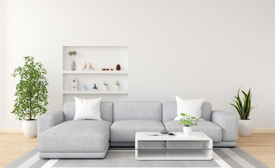 Monoxrwmia saloni gkri