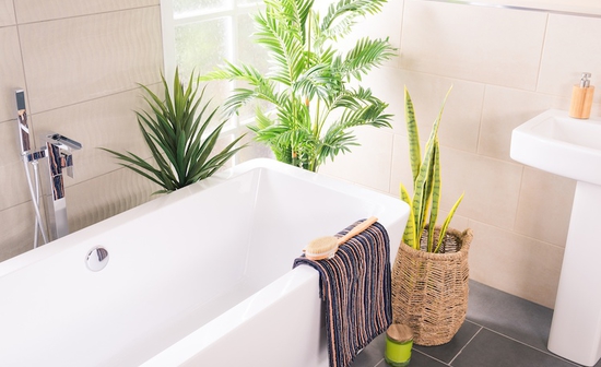 Mpaniera mikro mpanio