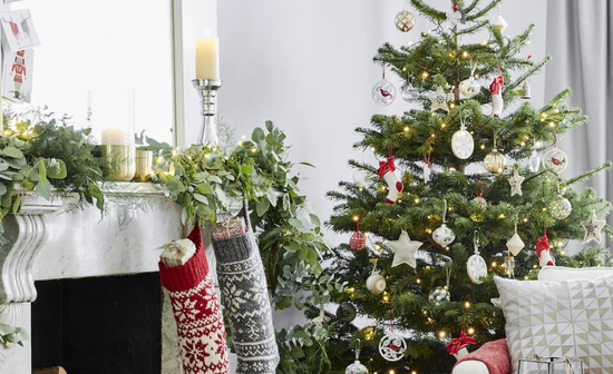 Christmas tree ferng shui