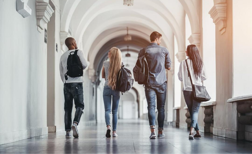 Foititiko stegastiko epidoma