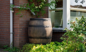 Syllogi vroxino nero