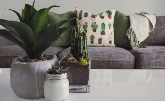 Spring decor