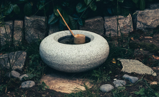 Zen sintrivani