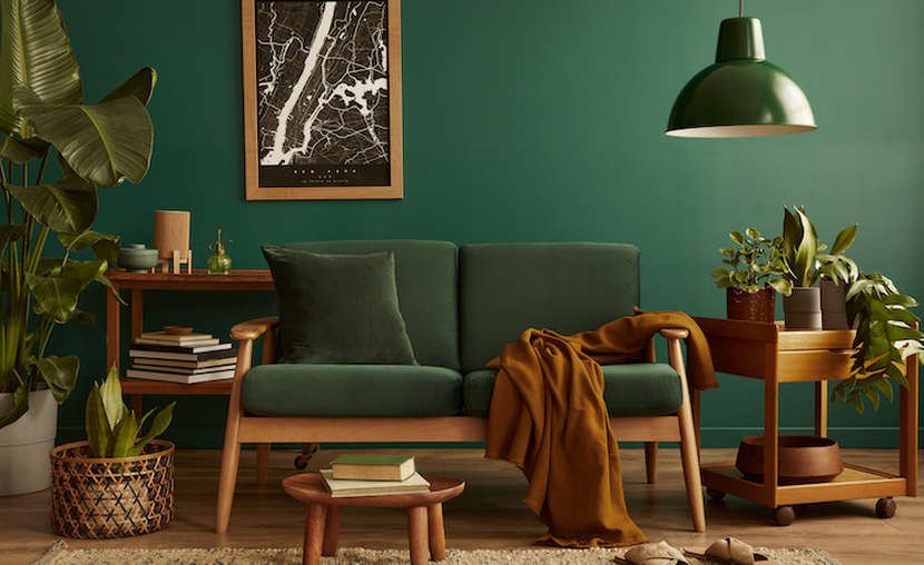 Forest green xrwma