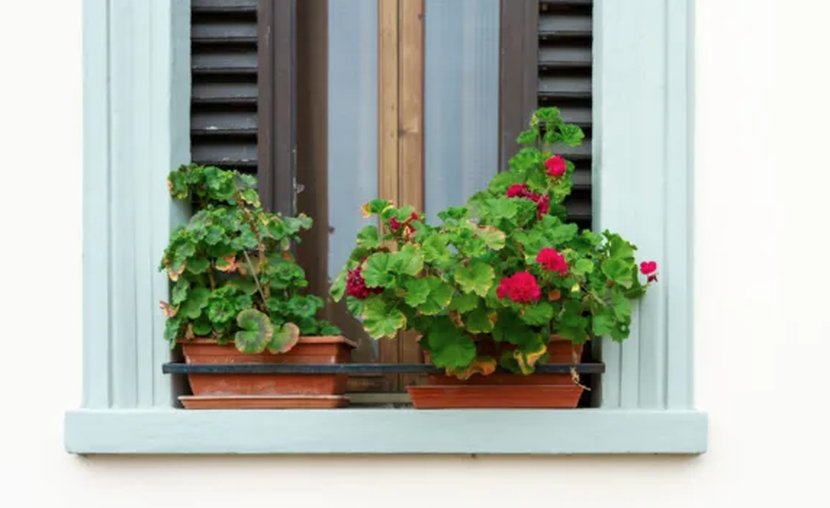Pots balcony