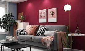 Fuschia wall