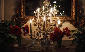 Laura shannonhouse 5 Mnkcq Vwnn8 unsplash