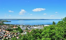 Parathalassia spitia