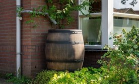 Syllogi vroxino nero