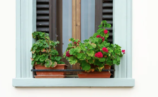 Pots balcony