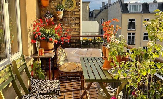 Diakosmisi mpalkonioy