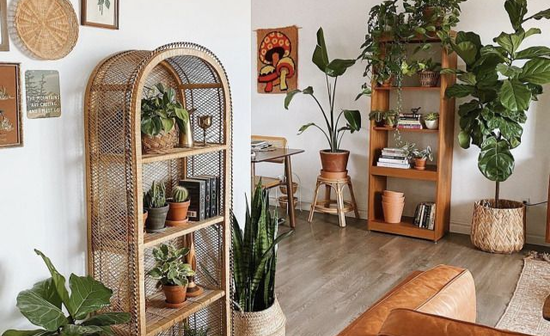 Earthy boho style spiti