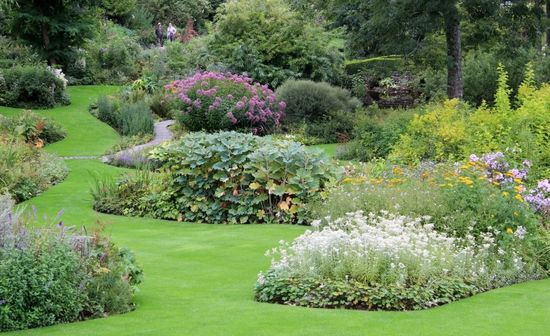 French garden 1