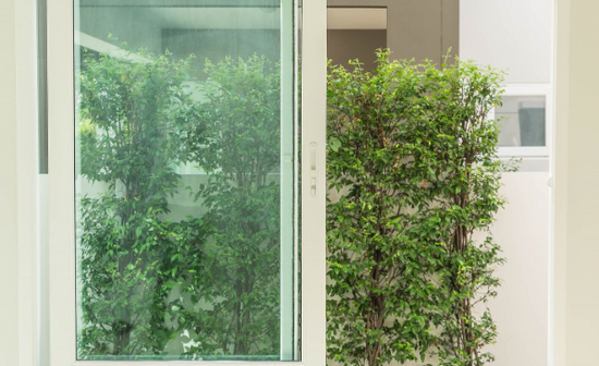 Glass window