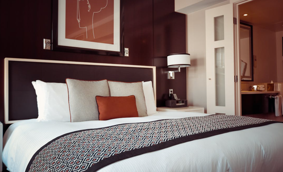 Ichomonosi krevatokamaras