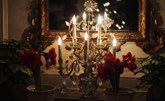 Laura shannonhouse 5 Mnkcq Vwnn8 unsplash