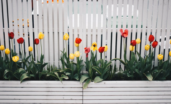 Oikonomiki perifraksi kipoy