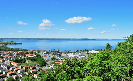 Parathalassia spitia