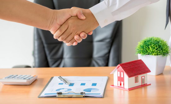 Stegastiko daneio ims fc