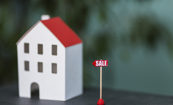 Stegastiko daneio lathi