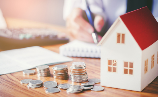 Xorigisi stegastikwn daneiwn