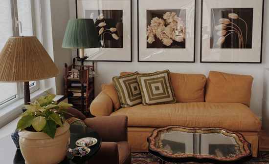 Zesti diakosmisi spitioy