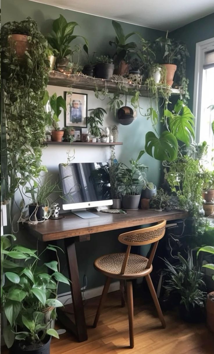 φυτά σε φοιτητικό home office