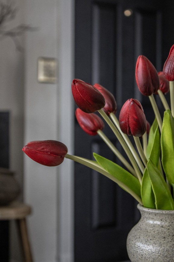 Κόκκινες τουλίπες