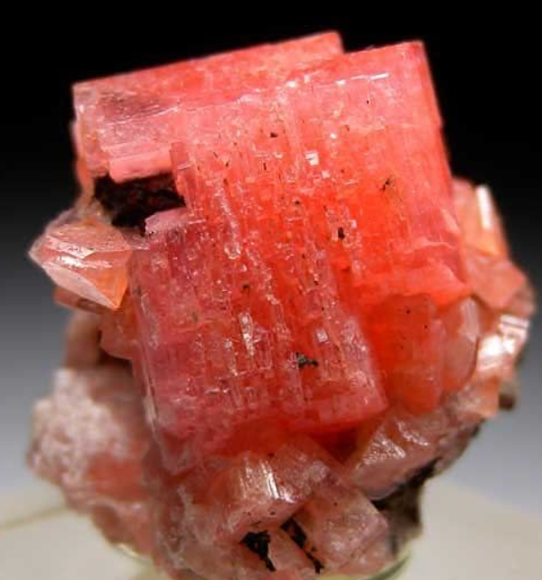 svg+xml;charset=utf-8,%3Csvg%20xmlns%3D%27http%3A%2F%2Fwww.w3