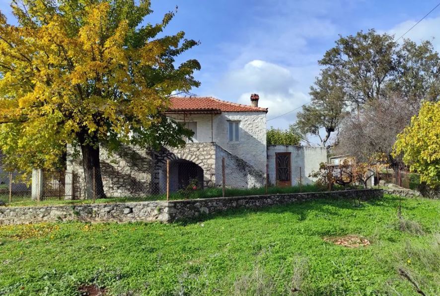 svg+xml;charset=utf-8,%3Csvg%20xmlns%3D%27http%3A%2F%2Fwww.w3